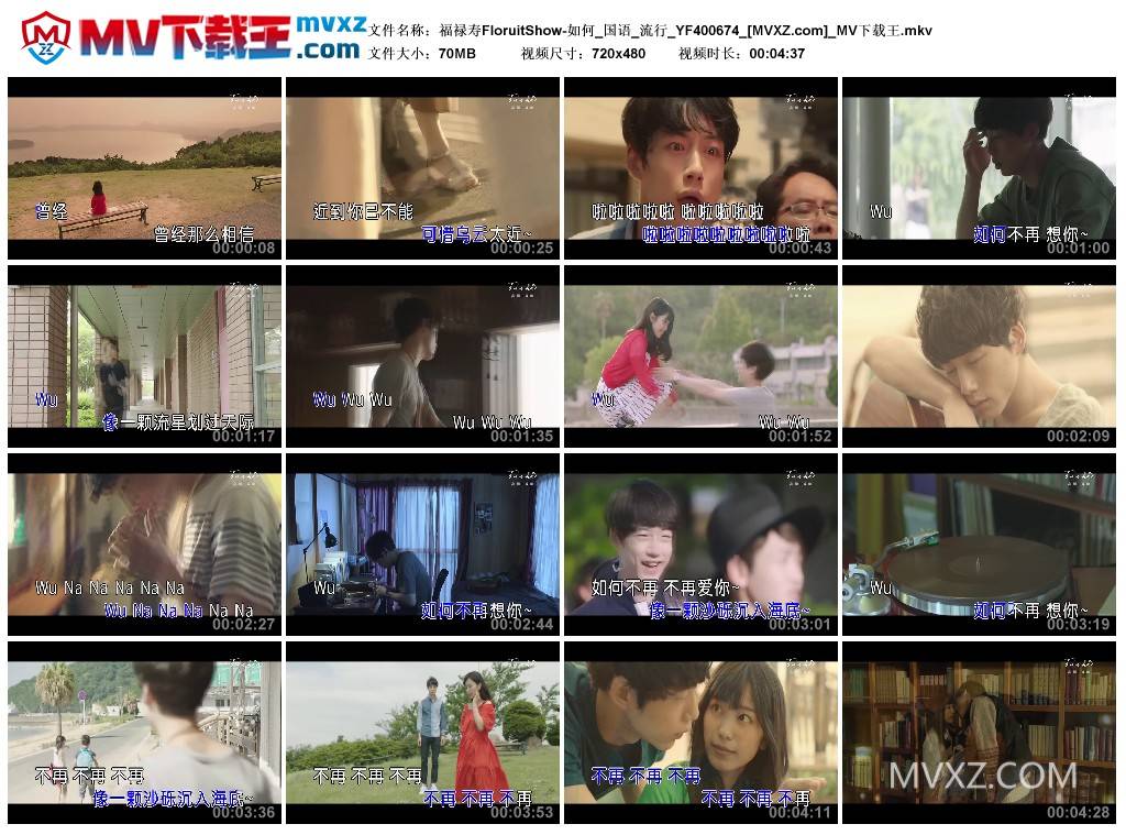 福禄寿FloruitShow-如何_国语_流行_YF400674